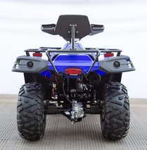 TERMINATOR 300cc - Image 7