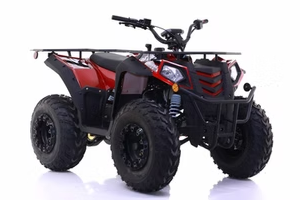 COMMANDER 200CC & 200CC EFI