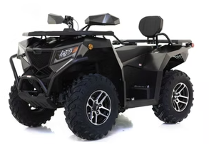 CYBER ROAMER 250 & 300  EFI