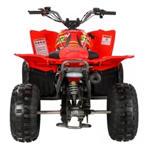 PENTORA 125cc - Image 2