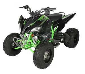 TERMINATOR 300cc