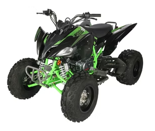 TERMINATOR 300cc