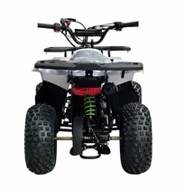 RXR 110cc - Image 5