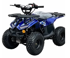 RXR 110cc - Image 4