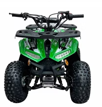 RXR 110cc - Image 3