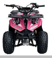RXR 110cc - Image 2