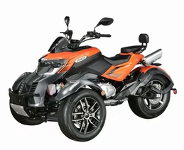 SX300