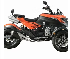 SX300 - Image 5