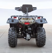 TERMINATOR 300cc - Image 6