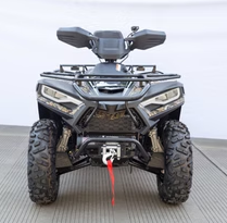 TERMINATOR 300cc - Image 5