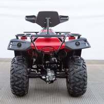 TERMINATOR 300cc - Image 3