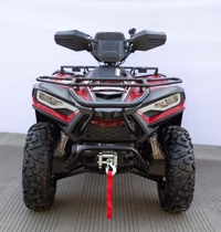 TERMINATOR 300cc - Image 2